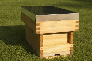 Nucleus beehive complete