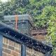 Swarm arriving at bait hive
