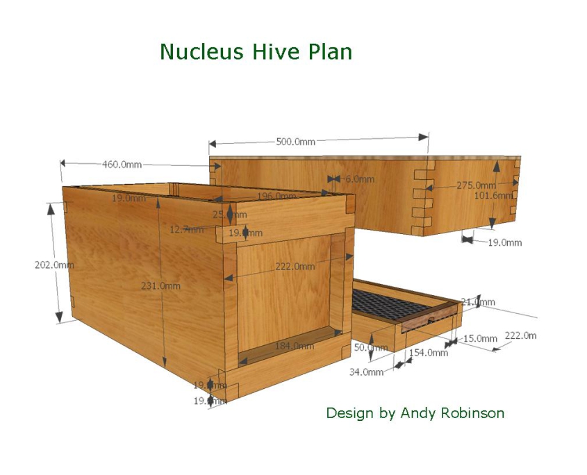 Nucleus beehive plan
