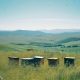 Honeybee hives in countryside
