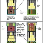 Snelgrove modified schematic