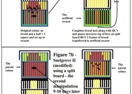 Snelgrove modified schematic